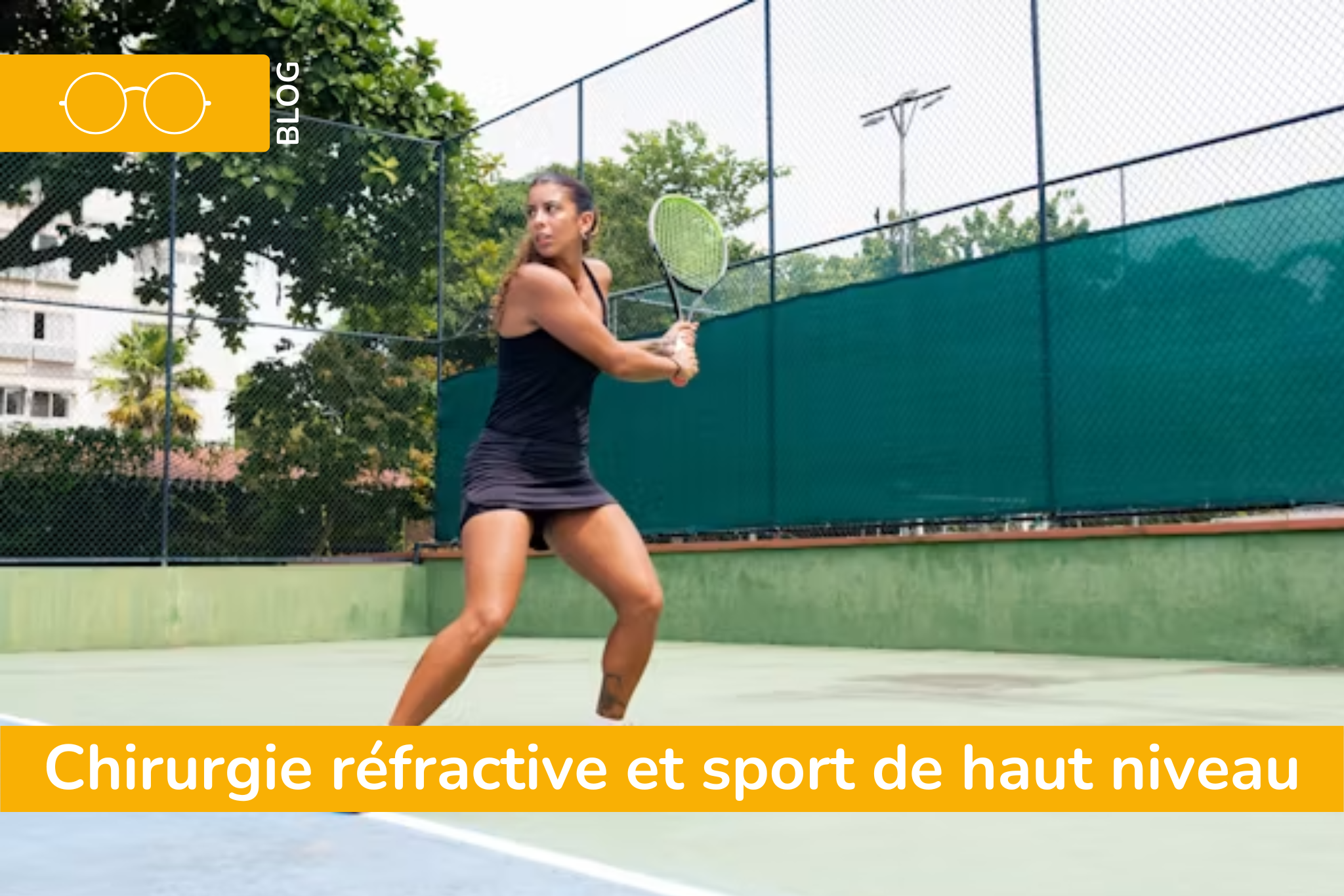 BLOG PLVL(17)